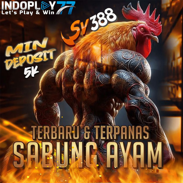 Sabung Ayam Online